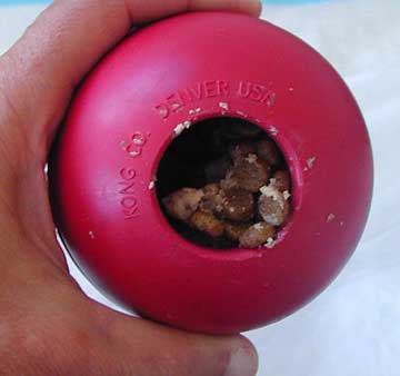 Kong filled with food