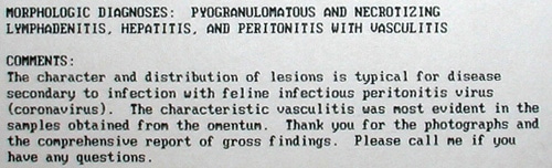 Pathologist's report confirming FIP