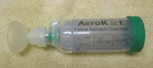 Asthma Inhaler Kit Mask