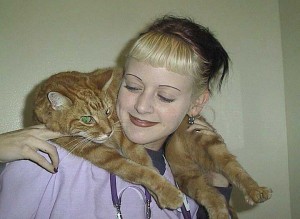 Cats-Shannon