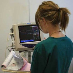Nurse anesthetist calibrating anesthetic monitor prior to surgery