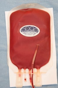 A bag of canine blood