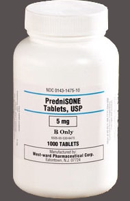 Bottle of 5 mg Prednisone Tablets