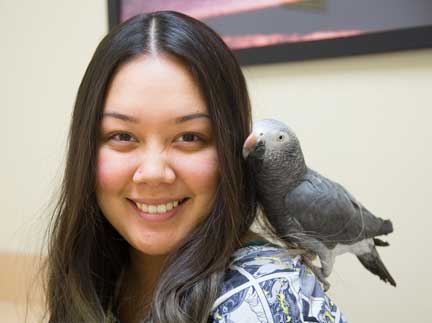 Nurse with a healthy African Grey bird perched on her shoulder