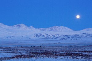 Mongolia-269