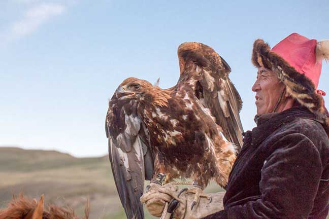 Master eagle falconer with his golden eagle perched on his glove