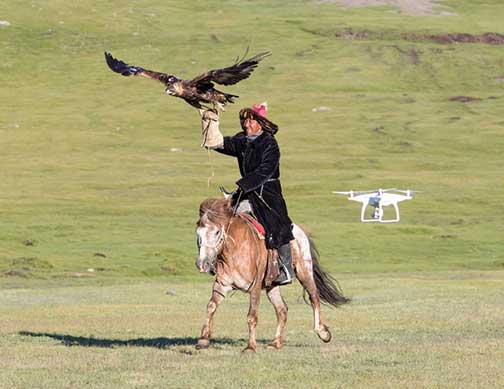 Drone following the master eagle falconer as he gallops with his eagle