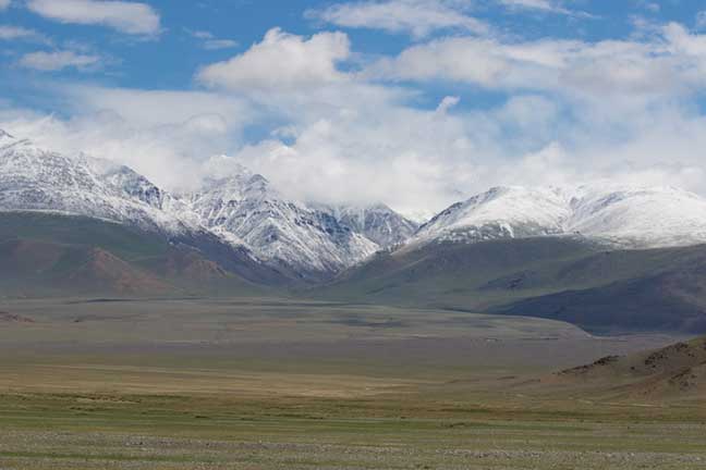 The lush green grasses of summertime in western Mongolia with beautiful snow capped mountains in the distance