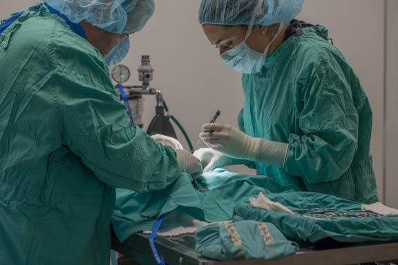 Surgery team working