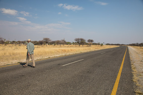 Turtle-road-Namibia-Carl-helping