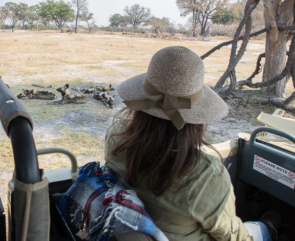 Wild-dogs-Moremi-Okavango-Botswana-11