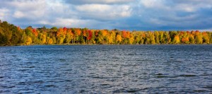Gorgeous fall colors surrounding lark's lake in northern Michigan