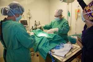 Two surgeons draping patient