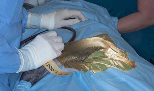 Final draping completed