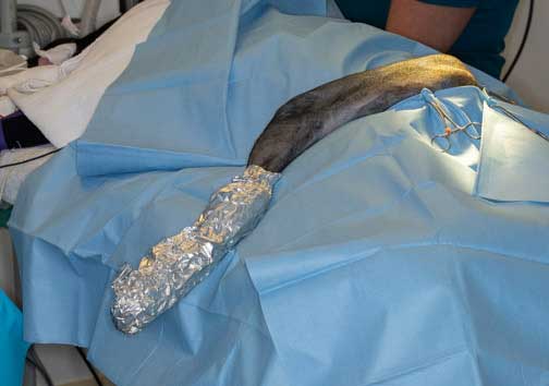 Foot wrapped in aluminum foil