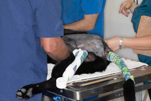 Patient laying on surgery table
