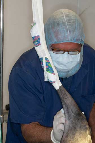 Initial scrub of the leg