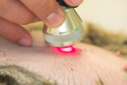 Using the companion laser