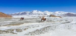 Mongolia-129