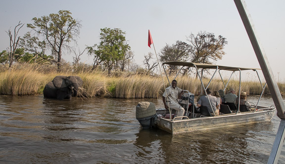 Elephant-Camp-Okavango-Botswana-27