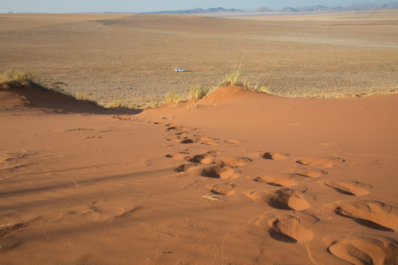 Namibia-Namib-Naukluft-Dunes-7